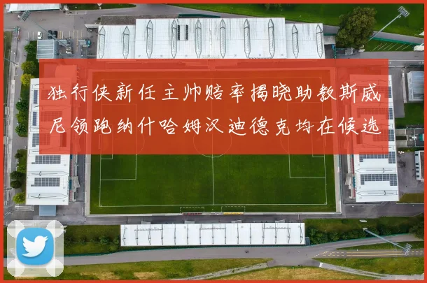 独行侠新任主帅赔率揭晓助教斯威尼领跑纳什哈姆汉迪德克均在候选之中